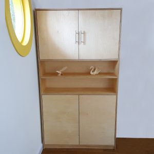 Medium Cupboard with Shelf Storage