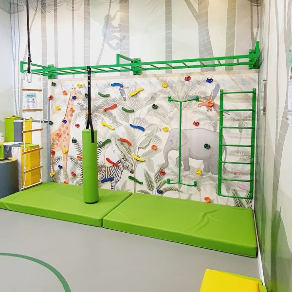 CLI69 - Sensory Climbing Wall With Monkey Bar & Graphic Wallpaper
