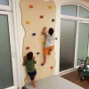 Rock Face Climbing Wall with Mat