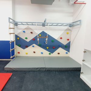 Mountain Climbing Wall With Accessories