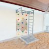 Climbing Wall With Steel Ladder