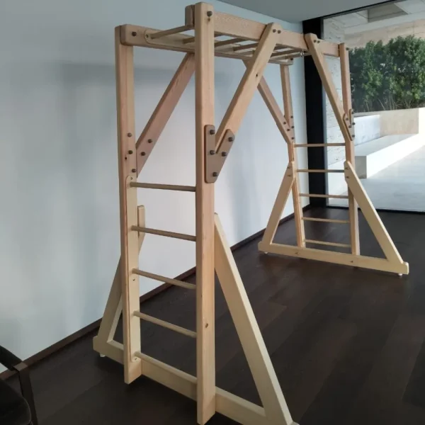 Free-Standing-Monkey-Bar