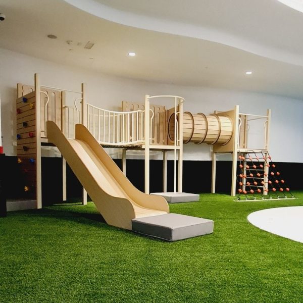 AIS Climbing Frame