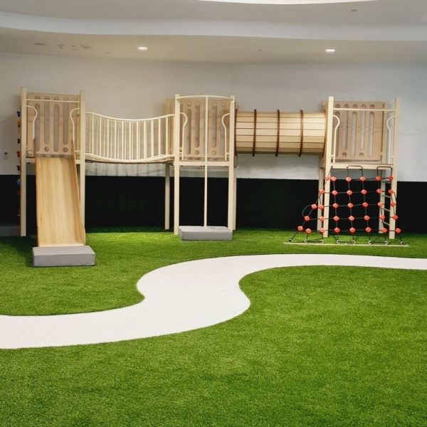 AIS Climbing Frame