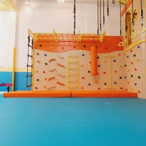 Sensory Climbing Wall With Monkey Bars