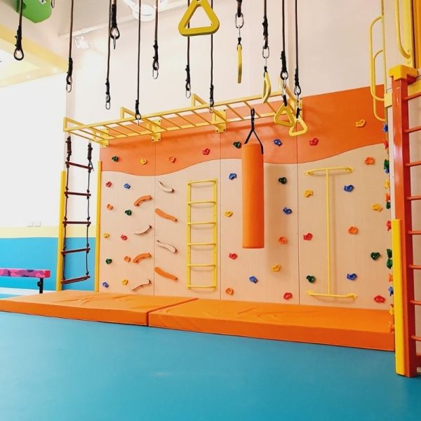 Sensory Climbing Wall With Monkey Bars