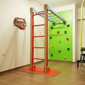 Climbing Wall with Monkey Bar
