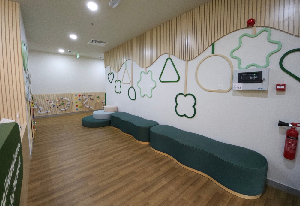 Dibber The Sustainable City Nursery – New Branch
