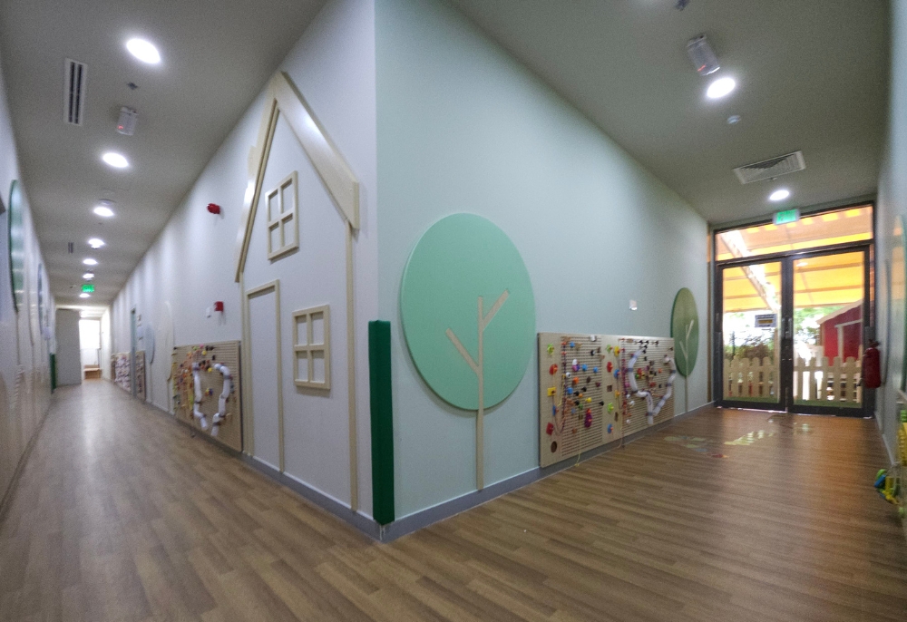 Dibber The Sustainable City Nursery – New Branch