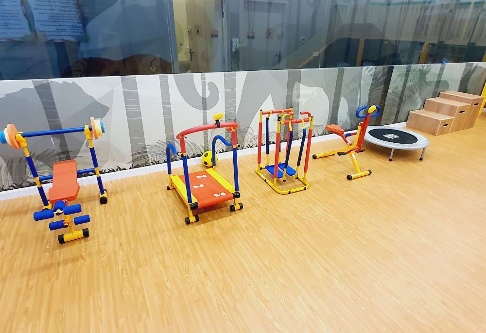 Jungle Gymsters