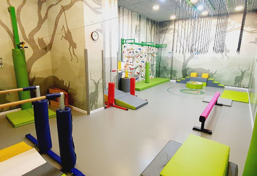 Jungle Gymsters