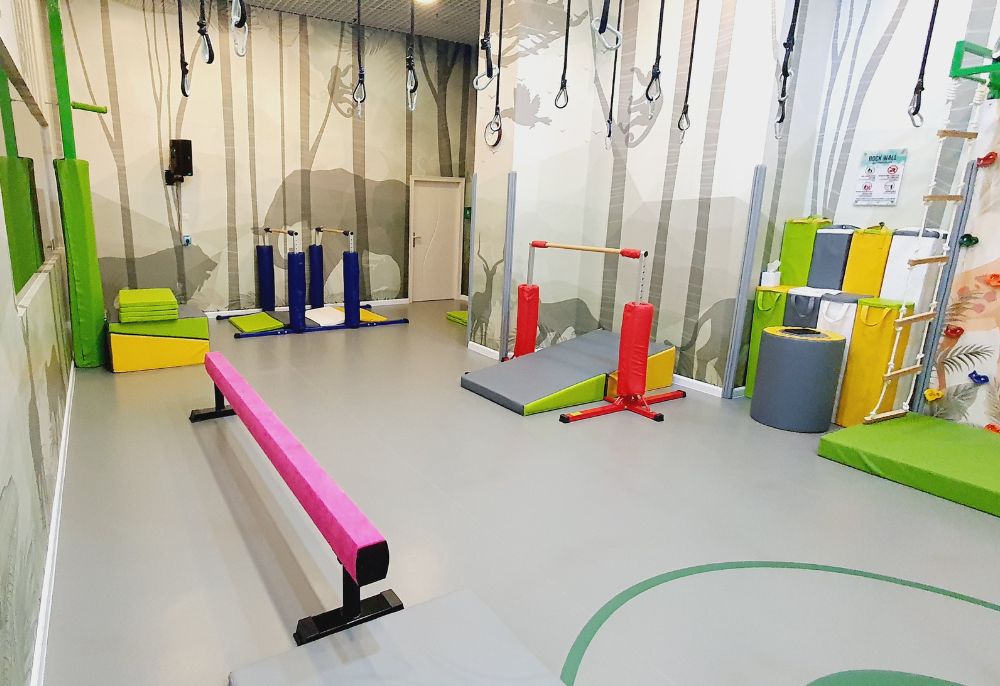 Jungle Gymsters