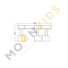Moon Kids Water Canal Timber Gullies