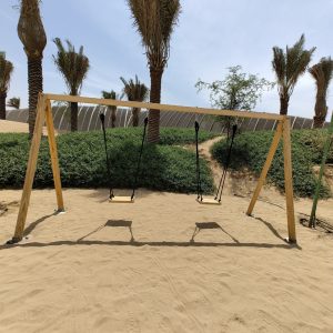 Double Swing Set - Type 3