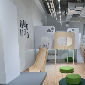 Playhouse-with-Step-and-Slide