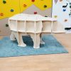 Novelty Book Case - Bear
