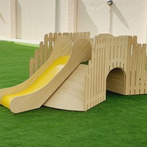 Slides