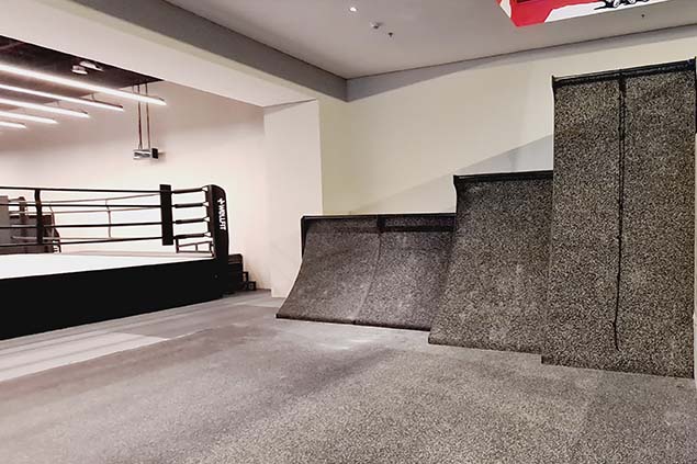 Wellfit Gym