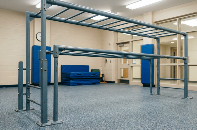 Monkey Bars