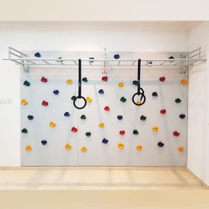 Climbing Wall With Hand Grips