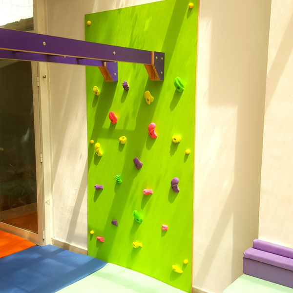 Climbing Wall with Monkey Bar