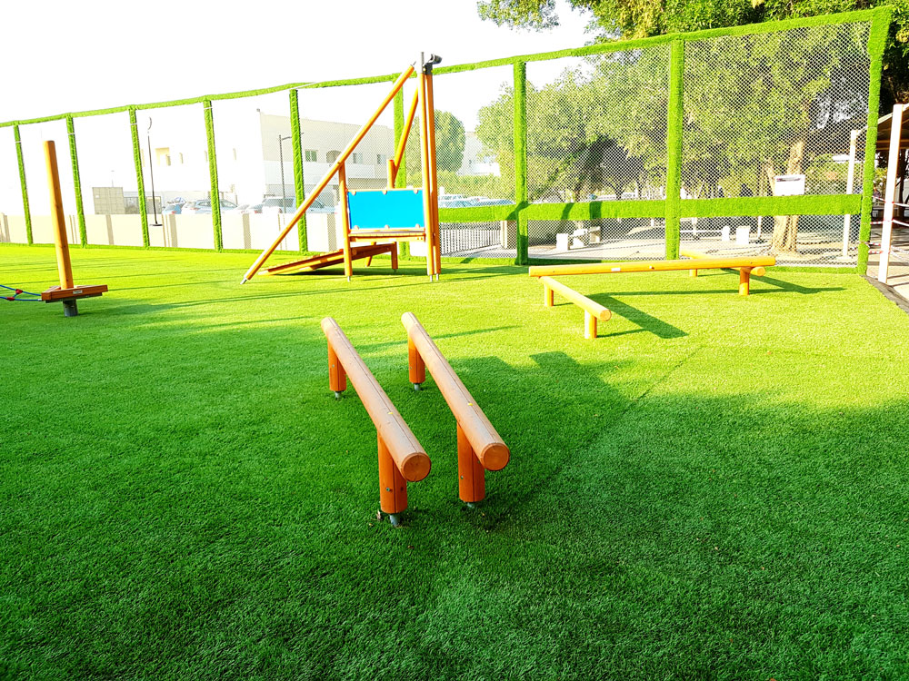 AUSTRALIAN INTERNATIONAL SCHOOL