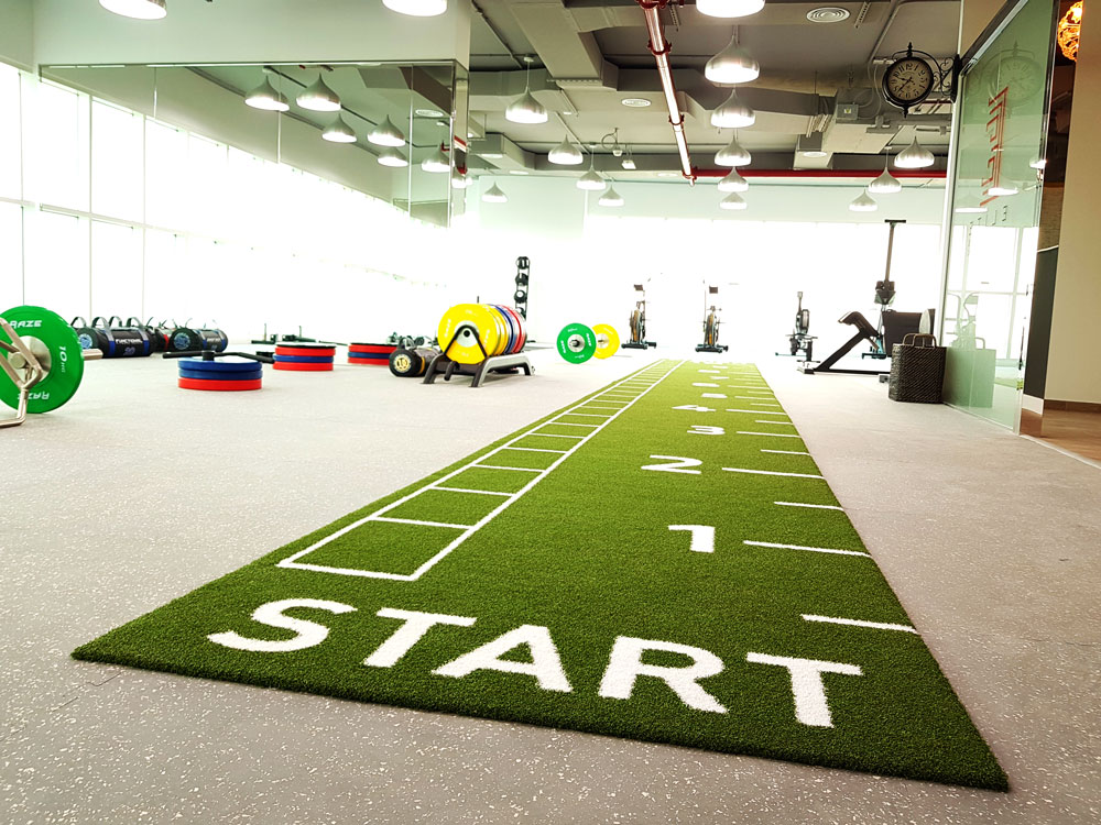 Elite Fitness