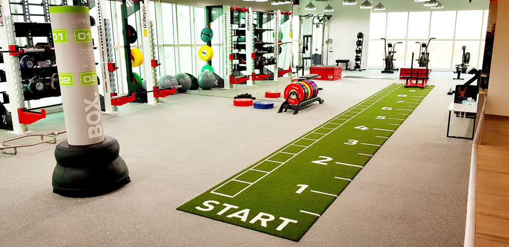 Elite Fitness